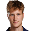 David Svozil