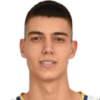 Aleksandar Krunic