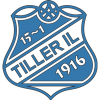 Tiller