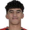 Ibrahim El Nagaawy