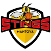 Mantova
