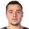 Armin Ibrahimovic