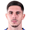 Srdjan Plavsic