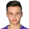 Denis Dizdarevic
