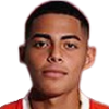 Hector Guerra