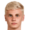 Viktor Aleksandrov