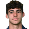 Jesse Saputo