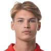 Joel van den Berg