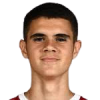 Kosta Nedeljkovic