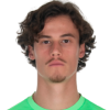 Mile Svilar