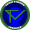 Team Viborg W