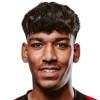 Balraj Landa