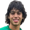 Johann Chirinos