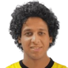 Hassan El Shazly