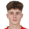 Fabiano Cibi