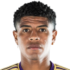 Wilder Cartagena