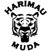 Harimau Muda B
