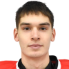 Dmitri Braginsky