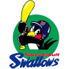 Yakult Swallows
