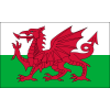 Wales U20