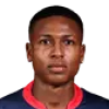 Yordy Alvarez