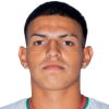 Alejandro Jesus Bran Flores
