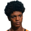Levi Farris