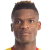 Didier Ndong