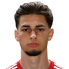 Luca Majetic