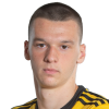 Novak Micovic