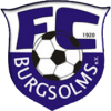 Burgsolms