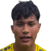 Nicolas Lincopan