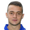 Nemanja Mihajlovic