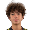 Andre Krikorian