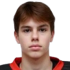 Stepan Bogdanov