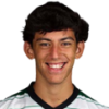 Francisco Canario