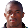Nkosinathi Nhleko
