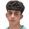 Nubar Gishyan