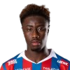 Salim Diakite