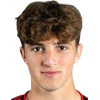 Mathieu Brick