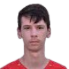 Alen Dizdarevic