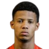 Paulinho