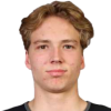 Gregor Biber