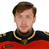 Nikita Dianov