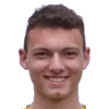 Marin Dulic