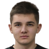 Mikhail Strelnik