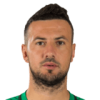 Danijel Subasic