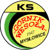Gornik Wesola