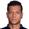 Fredy Guarin