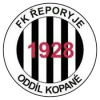 Reporyje